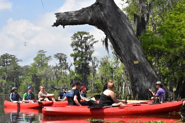 Manchac Swamp Extended 4-Hour Kayak Tour with Pickup - Photo 1 of 6